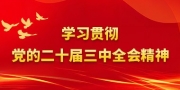 学习贯彻党的二十届三中全会精神